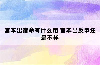 宫本出宿命有什么用 宫本出反甲还是不祥